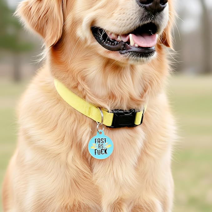 Bad Tags Personalized Dog and Cat ID Tags in 25+ Designs and 2 Sizes - 5 Lines of Custom Engraved Text - Funny Cute Personalized Pet Tags (Fast As F*ck, Small (1 inch))