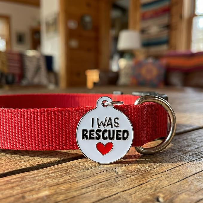 Bad Tags Personalized Dog and Cat ID Tags in 25+ Designs and 2 Sizes - 5 Lines of Custom Engraved Text - Funny Cute Personalized Pet Tags (I was Rescued, Large (1.25 inch))