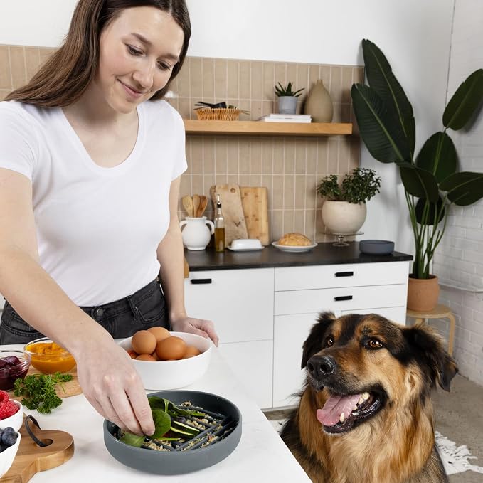 Should We Go? Slow Feeder Dog Bowls - Medium Size Silicone Slow Eating Dog Bowl for Puppies & Dogs with Suction Cup -Dishwasher-Safe,Lick Mat Design,Reduces Gulping,for All Breeds,7.5”x1.5”- Charcoal