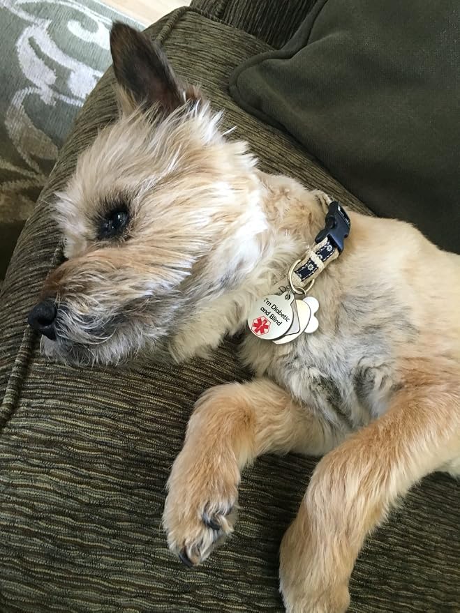 Medical Alert Dog Cat Pet ID Tag - I'm Diabetic and Blind - Personalize Colors and Add Contact Info to Back