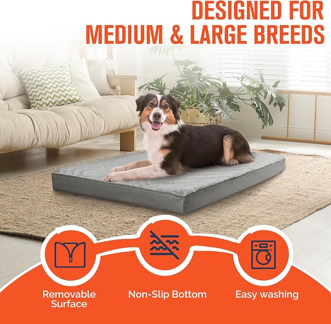 Simple Trending Orthopedic Dog Bed for Large Dogs with Removable Cover | Egg Crate Foam, Washable Pet Bed, Durable Oxford fabric, Non-Slip Bottom, Waterproof Plush Pet Bed Mat, 36 x 27 Inch, Gray