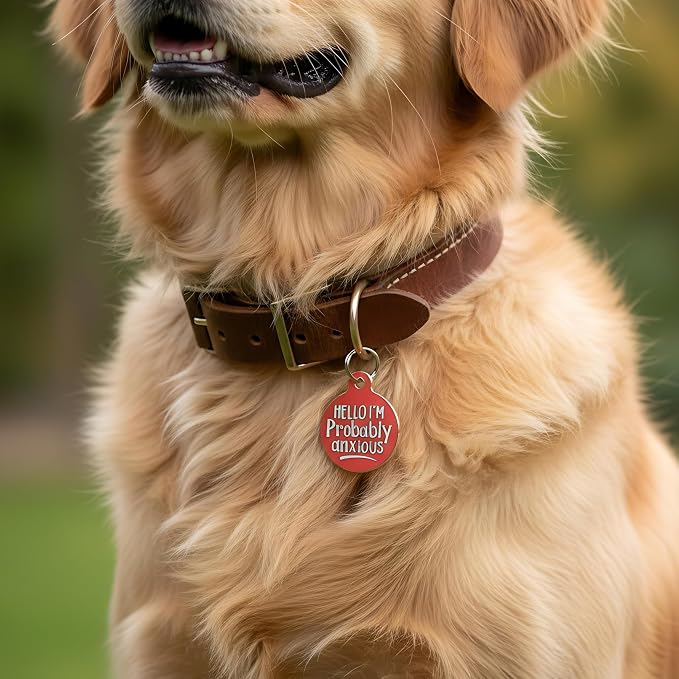 Bad Tags Personalized Dog and Cat ID Tags in 25+ Designs and 2 Sizes - 5 Lines of Custom Engraved Text - Funny Cute Personalized Pet Tags (Hello I'm Probably Anxious - Coral, Large (1.25 inch))