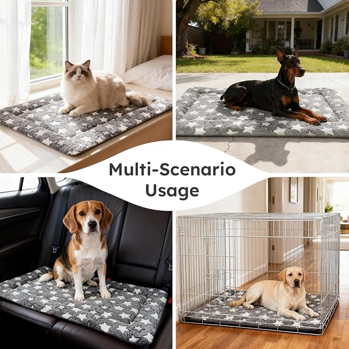 Dog Bed Mat, Dual-Sided Dog Crate Bed Mat - Ultra Soft & Machine Washable Kennel Pad for Small Dogs, All-Season Comfort Pet Bed for Crates, Travel, and Home, Star Gray, 24 x 16 Inch