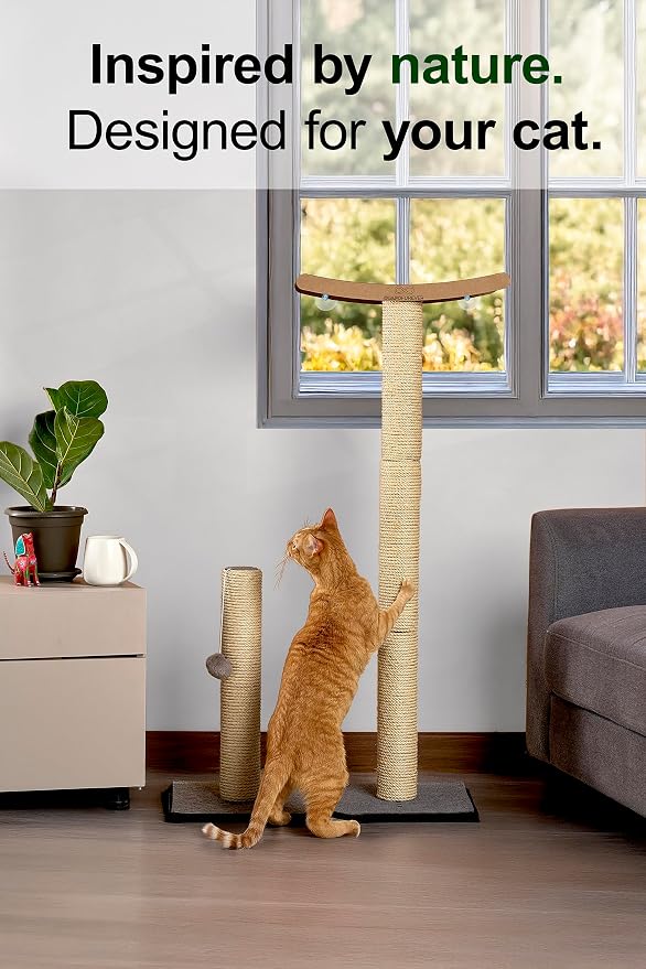 Cat Scratching Post with Perch for Large Cats – Modern Hammock Window Bed, Strong Suction Cups, Durable Eco, Space Saving Furniture for Indoor Cats