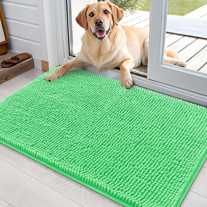 OLANLY Dog Door Mat for Muddy Paws 36x24, Super Absorbent Chenille Mud Mat | Mint Green, Absorbs Moisture and Dirt, Non-Slip Machine Washable Doormat, Quick-Drying Indoor Entryway Floor Carpet for Dogs