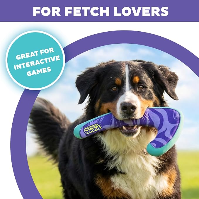 Outward Hound FlyFetch Boomerang Dog Toy, Lightweight Foam Core, Rubber Rim, Floats in Water, All Breeds, 11"