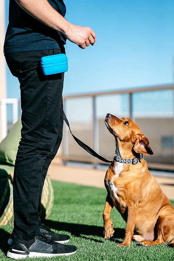 Dexas Pets Pooch Pouch Flexible Dog Treat/Training Treat Clip Pouch, Pro Blue