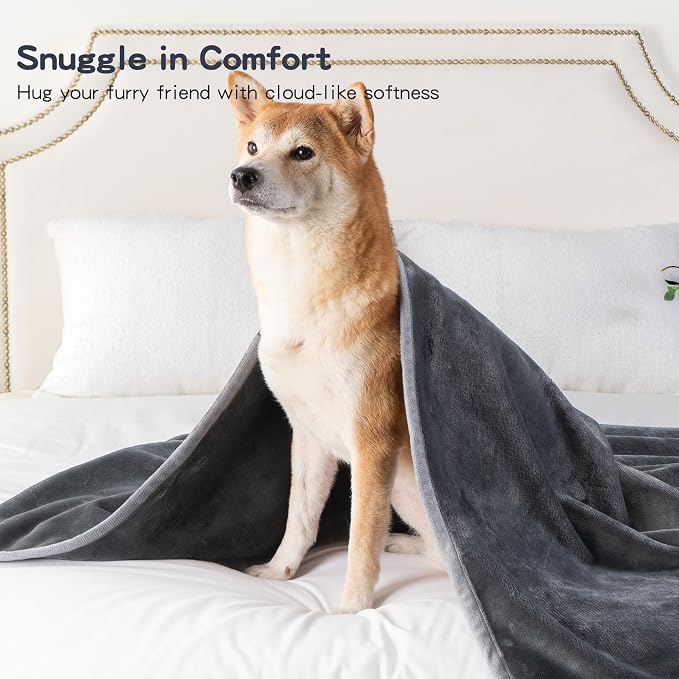 Waterproof Blanket for Couch Sofa Bed | Reversible Soft Flannel Throw Blanket for Medium Large Dogs Pet Leakproof, Protector for Crate, Travel, 50"x60", Dark Grey