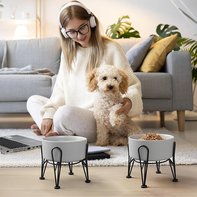 Elevated Dog Bowls, Ceramic Raised Dog Bowl Set with Anti-Slip and Non-Tip Metal Stand, 2 Pack Pet Food and Water Feeding Bowls for Small and Medium Dogs (Gray,3.6 Cups)