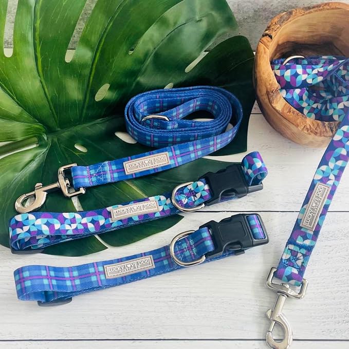Lucky Love Dog - Adjustable Dog Collar with Easy Click Buckle for Medium Dogs, Durable, & Comfortable for Male & Female Dogs, Pet Collar for Puppies & Adult Ones - Jasper, Medium