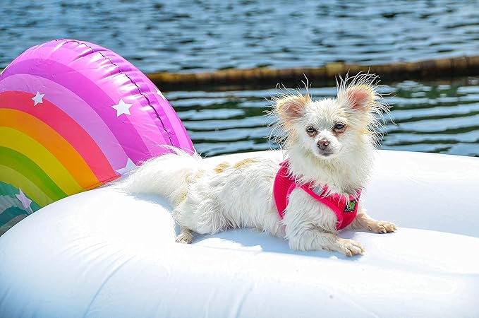 EcoBark Premium Quality Small Dog Harness - Step in Reflective Luxury Soft Mesh Harnesses for Puppies, Toy Breeds, & Small Dogs - Comfortable & Safe Body Halter - Adjustable Pet Vest (Small, Pink)