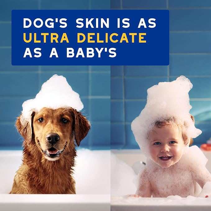 DOUXO SPA Oatmeal Dog Shampoo, 16 fl oz | Moisturizes the Skin, Leaves the Coat Soft and Radiant, Ultra-Safe