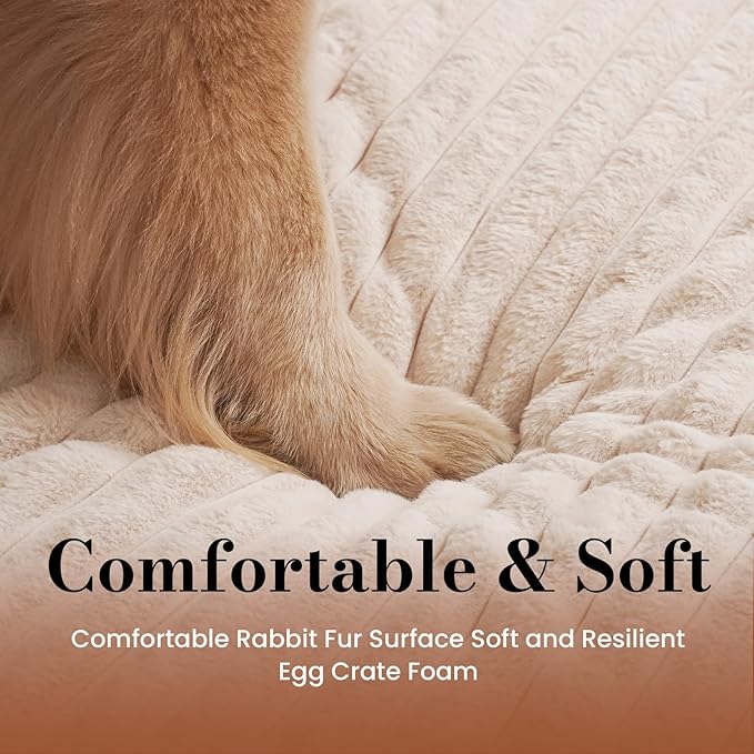 Orthopedic Dog Bed Medium Size Dog, Pet Beds with Waterproof Lining, Soft Short Plush Surface & Egg Crate Foam, Machine Washable Pet Mat with Removable Cover & Anti Slip Bottom