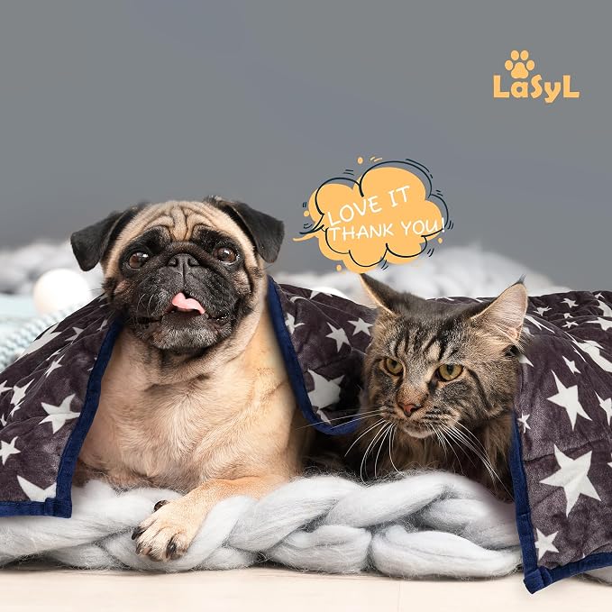 LaSyL Weighted Blanket for Pets | Thunder Blanket for Dogs Anxiety | Premium Soft Minky | Relaxation & Calming & Anti Anxiety | Used in Car, Bed, Couch | Blue Grey Star, Washable Small (24"x32")