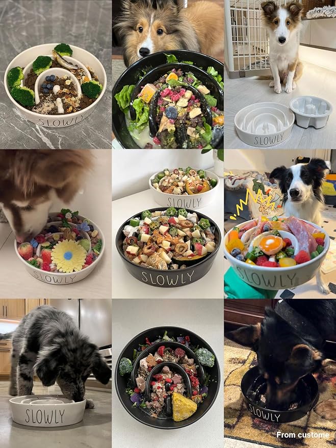LE TAUCI PET Ceramic Slow Feeder Dog Bowl - 3 Cup Puzzle Maze for Medium & Large Breeds, Puppies & Fast Eaters, Pet Food Dish Black