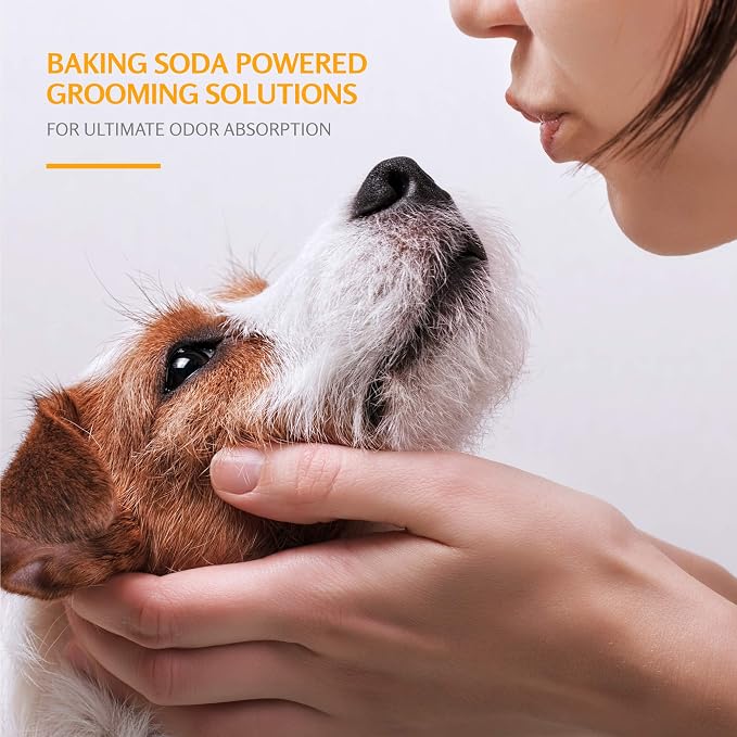 Arm & Hammer Soothing Oatmeal Dog Shampoo, Vanilla Coconut, 20 Fl Oz, 2-Pk | Baking soda formula, moisturizing oatmeal, vanilla coconut scent, pH balanced for dry skin