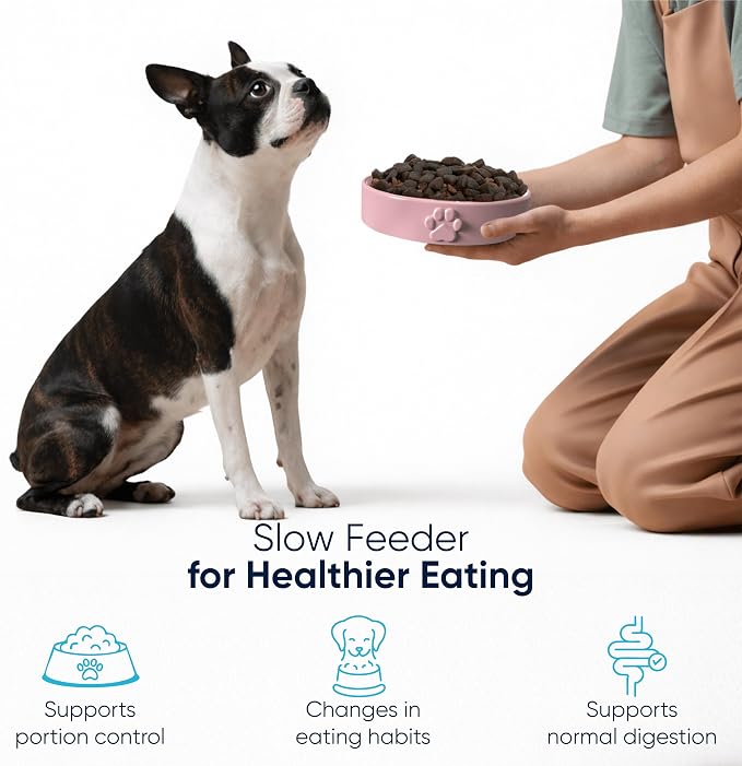 Slow Feeder Dog Bowls – 1.5-Cup Ceramic Dog Bowl Slow Feeder – Microwaveable Dog Slow Feeder for Small and Medium Dogs – Lead and BPA-Free Ceramic Pet Bowl – Pet Feeder for Fast Eaters