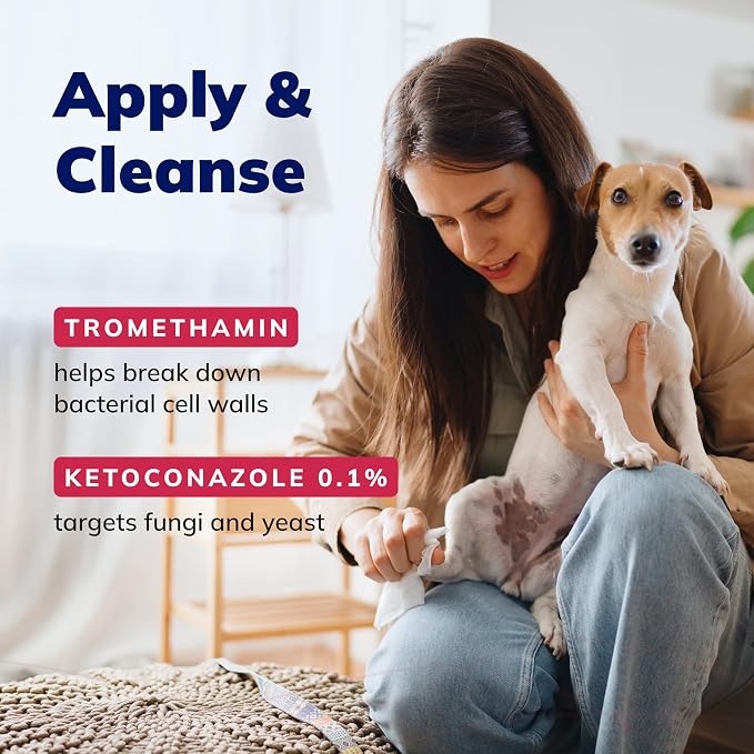 CeraSoothe® KET Antiseptic Flush for Dogs & Cats – Antifungal & Antibacterial Ear and Skin Cleanser, 16 oz