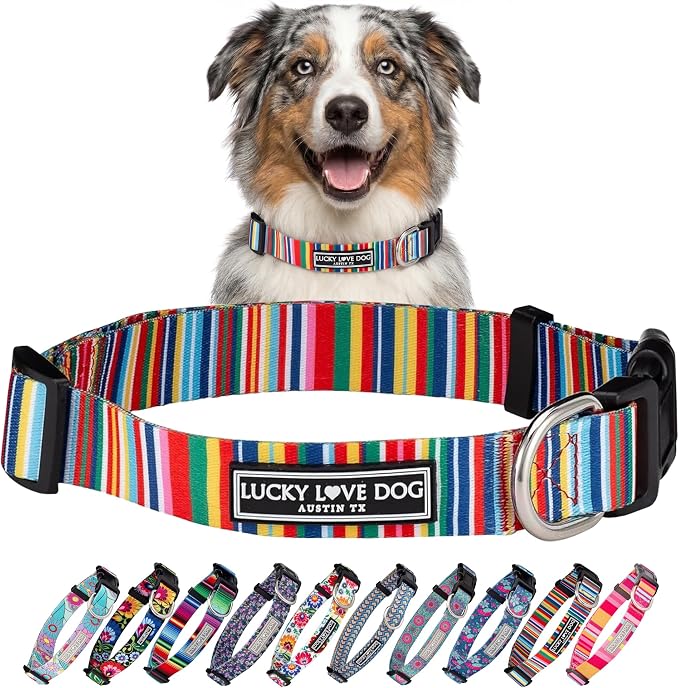 Lucky Love Dog Collars, Rainbow Stripes Pattern Dog Collar for Medium Dogs, Comfortable & Soft Cute Girl or Boy Dog Collar, Hippie, Medium
