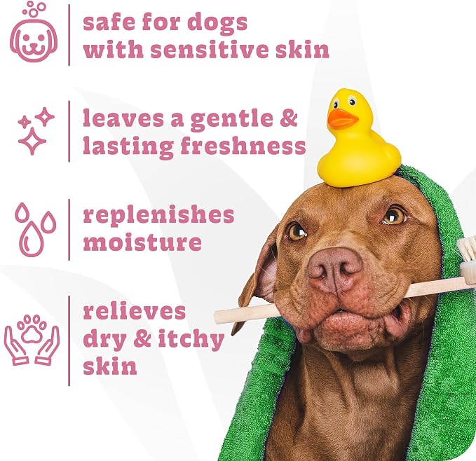 Espree Simple Soothe Dog Shampoo & Conditioner, Dog Grooming, 20 oz | Soothing Shampoo, Dog Conditioner, Professional Dog Grooming, Grooming Supplies, Moisturizing, Nourishing Coat, Salon Quality