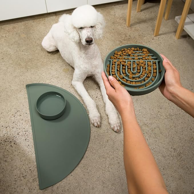 Should We Go? Slow Feeder Dog Bowls - Medium Size Silicone Slow Eating Dog Bowl for Puppies & Dogs with Suction Cup -Dishwasher-Safe, Lick Mat Design, Reduces Gulping,for All Breeds,7.5”x1.5”- Spruce