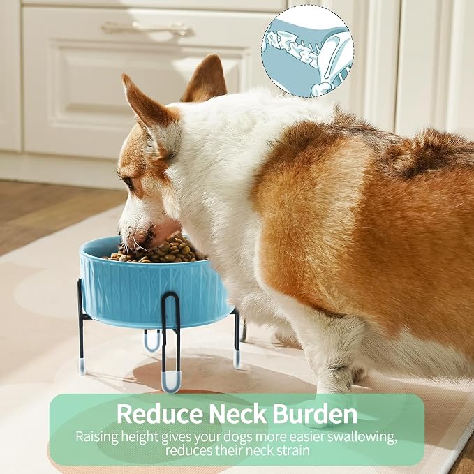 32 OZ Ceramic Dog Bowls with Metal Stand, 6.5 Inch Elevated Cat Bowl Set | Raised Pet Food Water Dish, 2 Heights, for Cats & Dogs, Prevent Neck Fatigue, Light Green