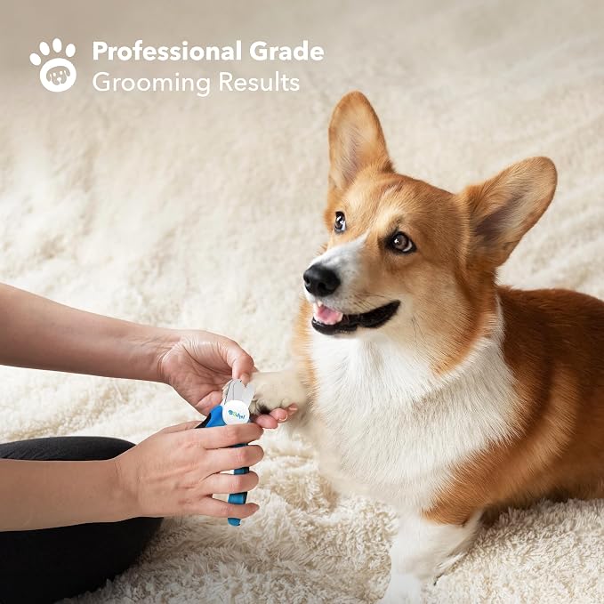 Boshel LED Large Dog Nail Clippers with Quick Sensor, Light, and Safety Guard, Pet's Sharp Toenail Cutter and File