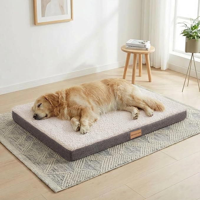 Patas Lague Orthopedic Large Dog Bed Washable Pet Sofa Mat 48''X30'' Ivory | Egg-Crate Foam Dog Couch For Large Sized Dogs, Waterproof Removable Cover, Soft Pet Crate Bed With Nonskid Bottom