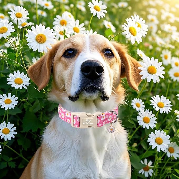 Summer Daisy Dog Collar, Cute Floral Adjustable Pink Dog Collars for Puppy Small Dogs, Lightweight Quick-Release Buckle Collar for Boy&Girl Dogs XS
