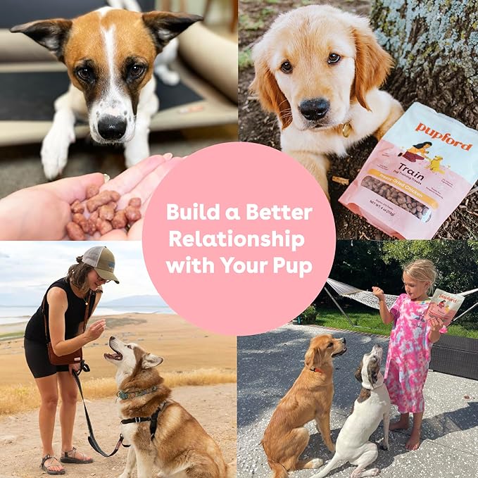 Pupford Freeze Dried Training Treats for Dogs & Puppies (Chicken, 2 oz) | 225+ treats per bag, Ultra low-calorie, Only 2 ingredients, All breed sizes, Mess free and bite sized, Trainer recommended