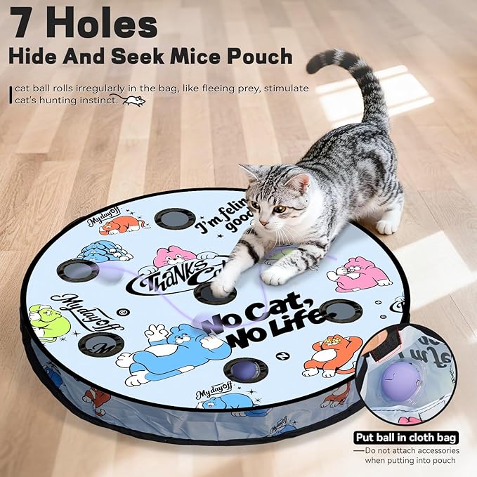 Interactive Cat Toy with Motion Activated Ball & 7 Holes Maze Mat, Hide and Seek Exercise Game for Indoor Cats, Automatic Moving Cat Ball Toy in Pouch, Rechargeable Kitten Toys, Mouse Catching Game