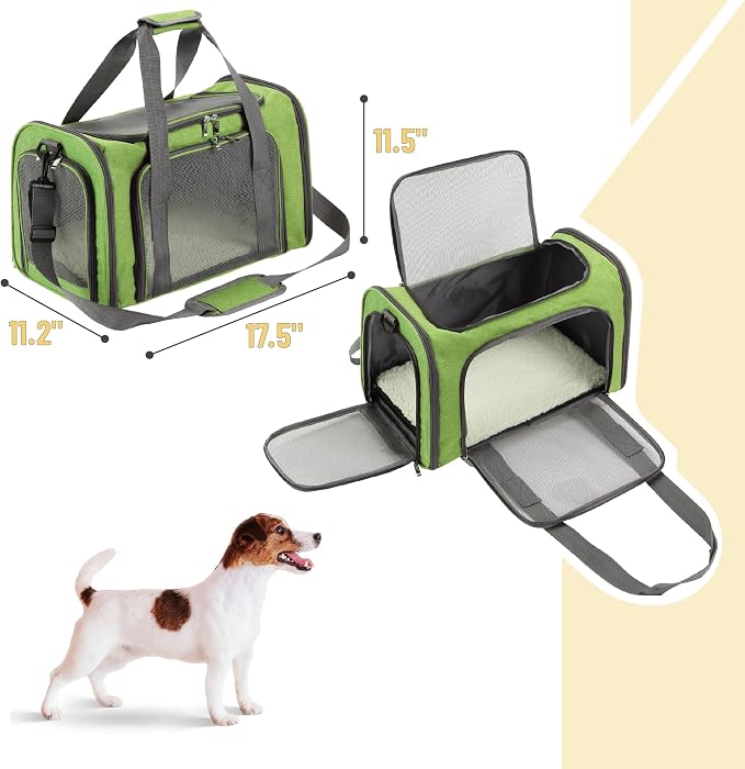 Mr. Pen- Pet Carrier, 17.5" x 11.2" x 11.5", Medium Size, Green | Portable Travel Carrier for Small Pets, Cats & Small Dogs, Breathable Mesh, Safety Inner Leash