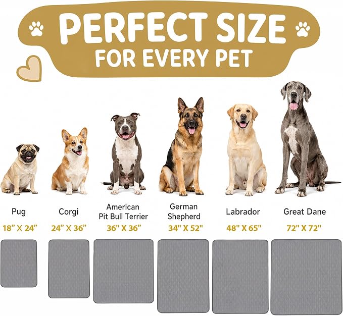 CoolShields Washable Pee Pads for Dogs, 18'' x 24'', Grey, 4 Pack | Ultra-Absorbent Reusable Waterproof Puppy Pad for Crates, Playpens, Carpets, and Floors—Ideal for Dogs, Cats, and Small Pets