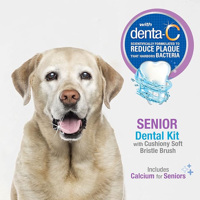 Nylabone Advanced Oral Care Senior Dog Dental Kit with Cushiony Soft-Bristle Toothbrush Senior 3 Count