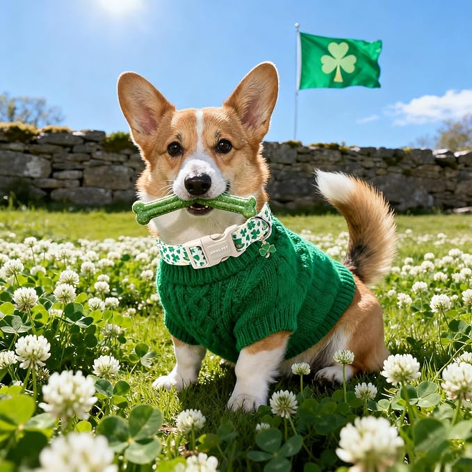 ARING PET St Patrick's Day Collar for Dog, Cute Green Lucky Clover Hat Shamrock Puppy Pet Collars for Small Medium Large Boy Girl Dogs-XL
