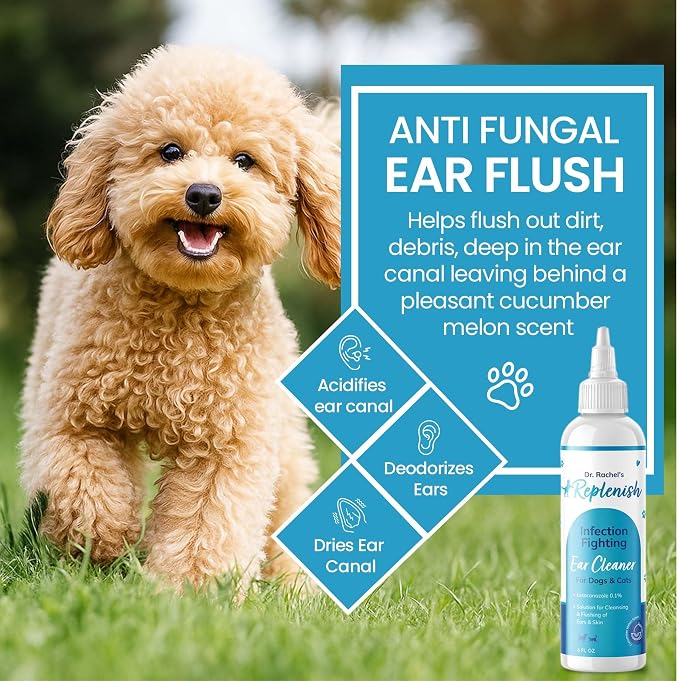 Replenish Otic Ear Cleaning Solution for Dogs, Antiseptic Ear Flush, 8 oz | Dr. Rachel's Antiseptic Ear Cleaner for Dogs & Cats – Advanced Ear Flush for Yeast Treatment and Odor Control – 8 oz