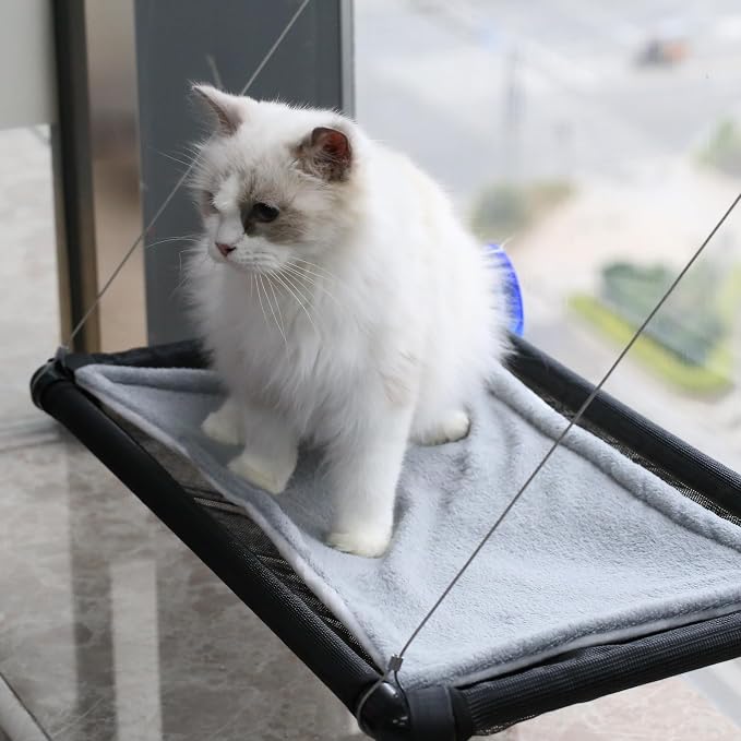 Cat Hammock for Window Wall with 4 Suction Cups 1 Cushion Cover,Cat Window Perch, Space Saving and Easy Mounted Large Cats Bed,Pet Resting Safety Holds (Black, Medium)