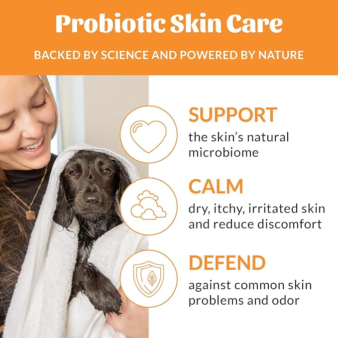SKOUT'S HONOR Probiotic Dog Shampoo and Conditioner - HS, 16 oz, 2-Pack | Hydrating, Natural 2-in-1 for Itchy Skin, Microbiome-Friendly with Avocado Oil & Omega-3s, Paraben & Sulfate-Free