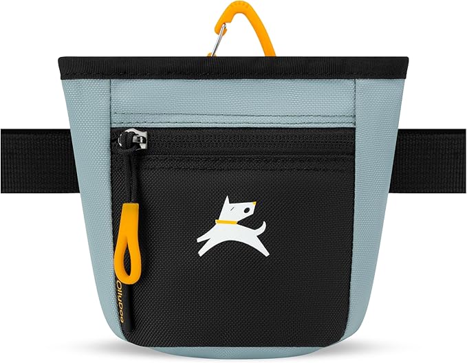Goodie Treat Bag, Dog Treat Training Pouch | Magnetic Closure | 3 Ways to Wear | Hands-Free Waist Belt | Water-Resistant Recycled Vegan Fabric (St. Lucia)