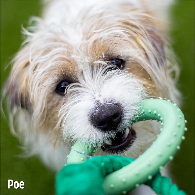 Rosewood Battersea Rope & Rubber Rings, Tug Dog Toy, 13cm x 20cm