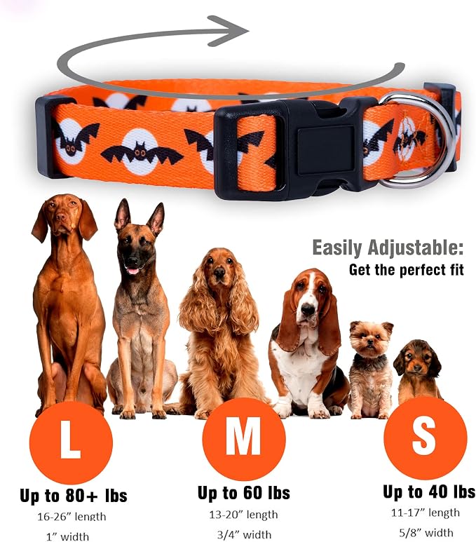 Native Pup Halloween Dog Collar- Spooky Fall Themed Horror Costume Collars- Skull, Pumpkin, Ghost, Bat, Witch, Candy Corn, Spider- Adjustable for Small, Medium, Large Breeds (Large, Bats and Moon)