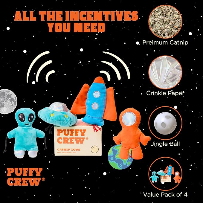 Interactive Catnip Cat Plush Toy, Space Travel Theme, 5‘’, for All Breed Size Cats (4 in 1)