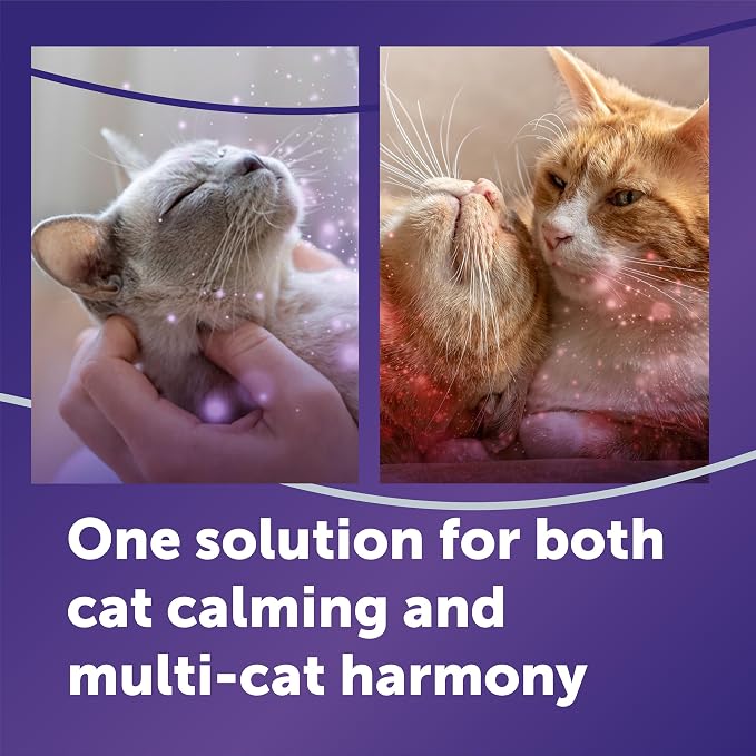 FELIWAY Optimum Cat Calming Diffuser Refill – Cat Pheromone Diffuser Refill for Advanced Support to Reduce Stress, Spraying, Scratching, Fighting and Hiding– 2 Pack