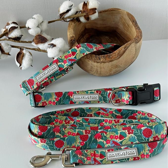 Lucky Love Dog - Easy Click Buckle Dog Collar with Leash Set Combo, Durable & Comfortable for Male & Female Dogs, Pet Collar for Medium Dogs, Secure Fit - Ginny Combo, Medium