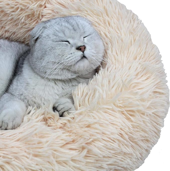 Modern Soft Plush Round Pet Bed for Cats or Small Dogs, Mini Medium Sized Dog Cat Bed Self Warming Autumn Winter Indoor Snooze Sleeping Cozy Kitty Teddy Kennel (24'' D x 8'' H, Champagne)