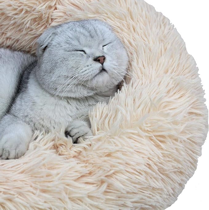 Modern Soft Plush Round Pet Bed for Cats or Small Dogs, Mini Medium Sized Dog Cat Bed Self Warming Autumn Winter Indoor Snooze Sleeping Cozy Kitty Teddy Kennel (20'' D x 8'' H, Champagne)