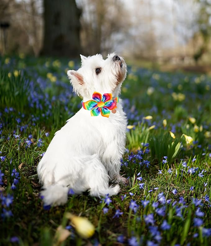 DOGWONG Cotton Pride Dog Collar, Rainbow LGBTQ Dog Collar Puppy Pet Collar for Small Medium Large Dog