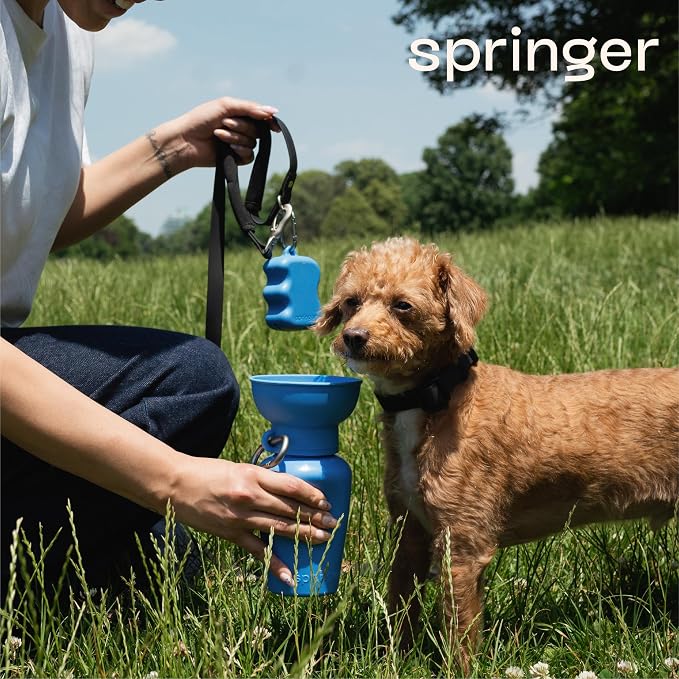 Springland Silicone Dog Training Treat Pouch for Leash, Blueberry | One-hand squeeze dispenser, food-grade silicone, BPA-free, carabiner included, easy-fill holder for rewards on the go