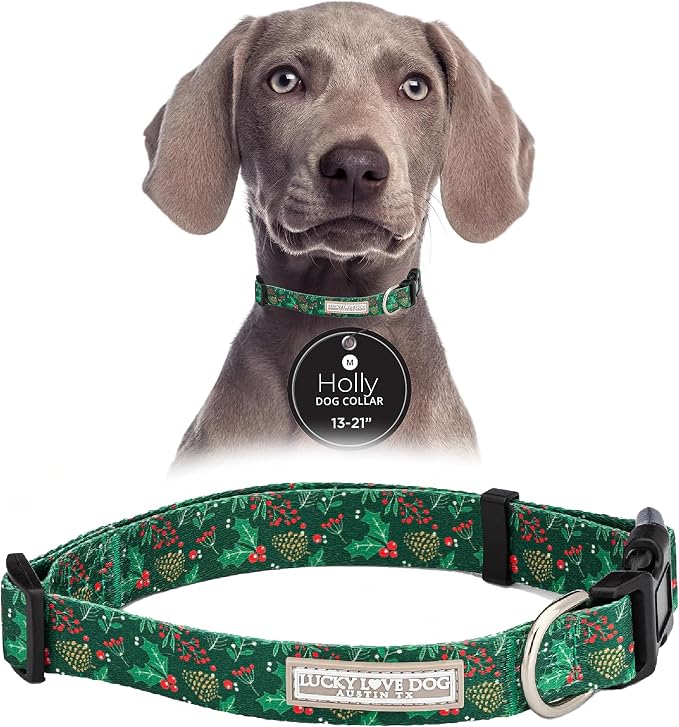 Lucky Love Dog - Adjustable Dog Collar with Easy Click Holly for Medium, Durable, & Comfortable for Male & Female Dogs, Pet Collar for Puppies & Adult Dogs - Holly, Medium