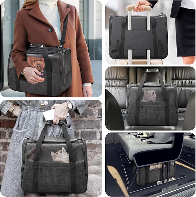 JUNGYOUN Premium Cat Carrier - Pet Carrier for Cat & Small Dogs up to 15lbs - Airline Approved Travel Dog Carrier with Anti-Escape Zippers, Collapsible Travel Bowl & Padded Strap